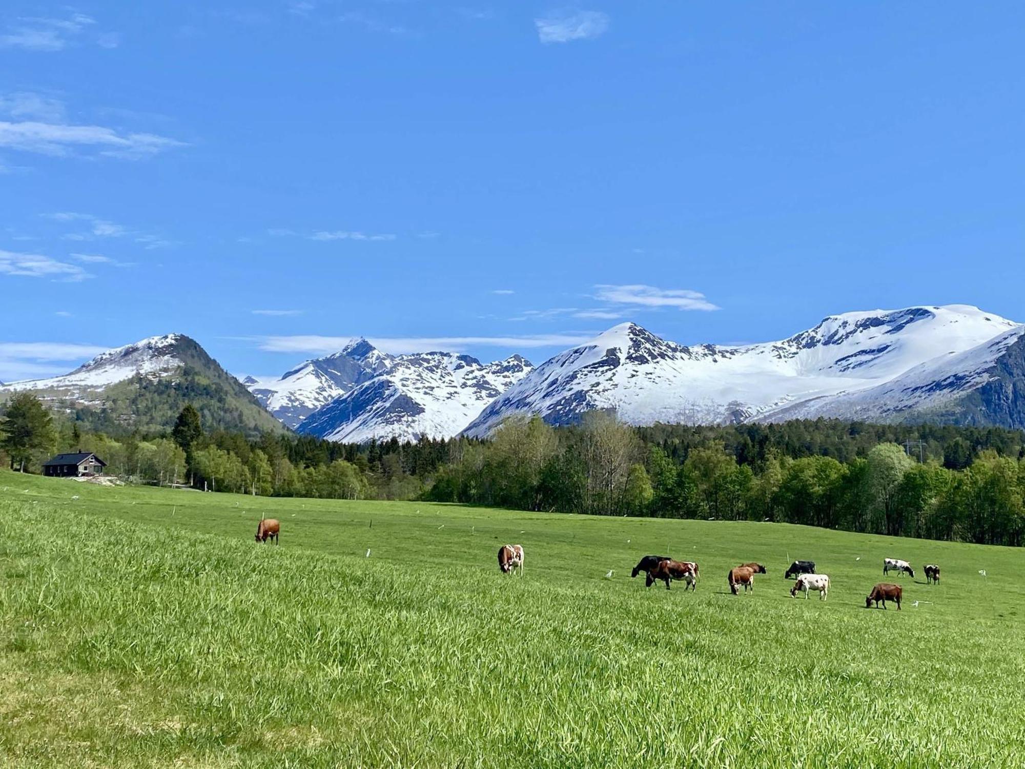 Heinali Hytta Vila Isfjorden Exterior foto