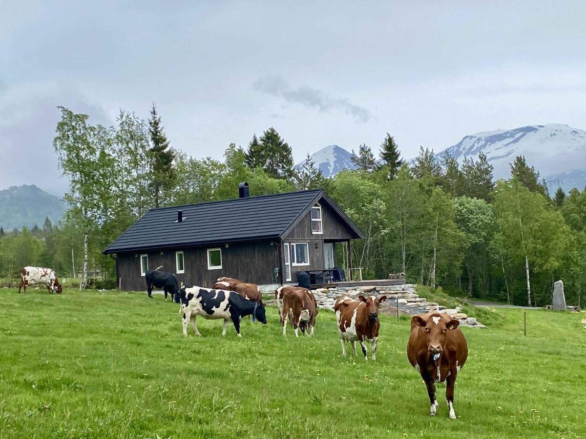 Heinali Hytta Vila Isfjorden Exterior foto